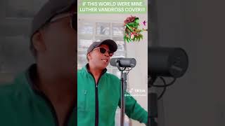 IF THIS WORLD WERE MINE  LUTHER VANDROSS  live COVER [upl. by Ronoel529]