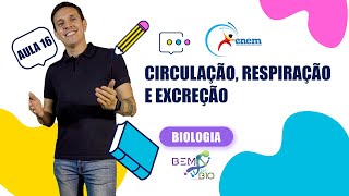 Enem 2023  Biologia  Aula 16  Circulação Respiração e Excreção [upl. by Barnebas]