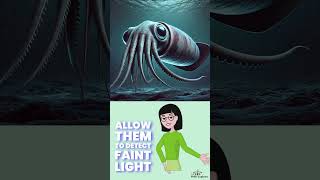 Fact about Giant Squid [upl. by Swor]