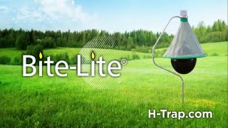 Scott Purdum  Advantage Horsemanship  Horse Fly Trap [upl. by Joya]