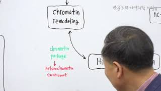 24Chromatin remodeling  Histone modificationChromatin packagehetero Chromatin eu Chromatin [upl. by Yraunaj]