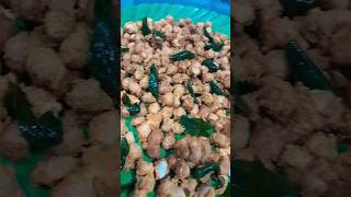 Masala kadalai recipe  Tamil tamilkitchen tamilfood tamilrecipes recipes cooking samayal [upl. by Avlem936]