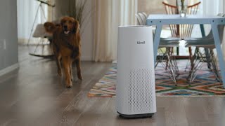 Levoit  Tower Pro HEPA Air Purifier LVH134 [upl. by Animar353]