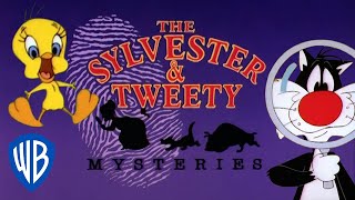 Looney Tunes SINGALONG  The Sylvester amp Tweety Mysteries Theme Song  WB Kids [upl. by Padraic911]