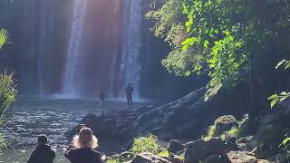 Whangarei Falls [upl. by Orgell933]