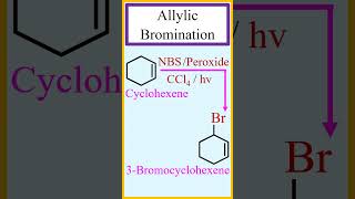 Allylic bromination by WohlZiegler reaction chemistry [upl. by Georg]