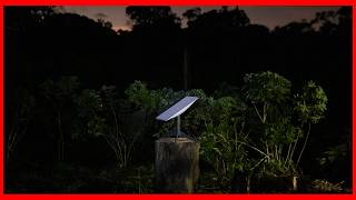 Starlink Internet Comes to The Amazon Rainforest [upl. by Hew]