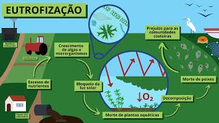 Eutrofização Impactos e Soluções [upl. by Aehc]