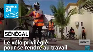 Sénégal  le vélo privilégié pour se rendre au travail à Dakar • FRANCE 24 [upl. by Rednasela]