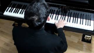 Stravinsky  Piano Rag Music GCascioli piano [upl. by Strage]