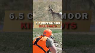 65 CREEDMOOR KILL SHOTS [upl. by Siriso342]