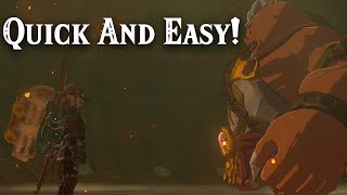 QUICK and EASY Fire Temple Guide  Tears of The Kingdom [upl. by Candyce]