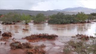 Kayenta amp Snow Canyon Flash Flood [upl. by Carmon]