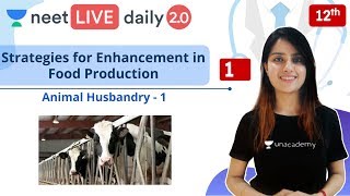 NEET Strategies for Enhancement in Food Production  L1  Live Daily 20  Unacademy NEET  Seep P [upl. by Llerol]