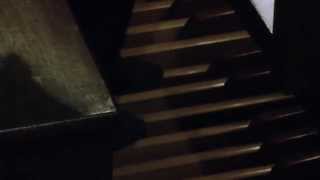 Antonino Buschiazzo  Organ Improvisation [upl. by Nytsud]