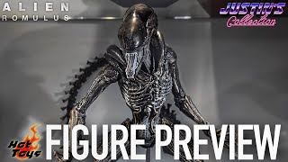 Hot Toys Alien Romulus Scorched Xenomorph  Figure Preview Episode 333 [upl. by Tennos201]