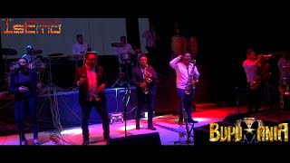 La BUPUMANIA En ¡Vivo PARA BAILAR Parte 3 [upl. by Godderd]