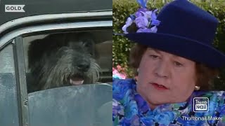 Keeping Up Appearances Onslow’s Dog Compilation [upl. by Enneirda559]