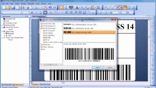 How to Use Bartender Label Design Software [upl. by Ender]