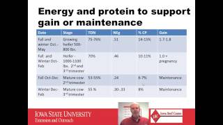 Nutrition of Developing Beef Heifers [upl. by Kamin]