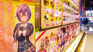 Akihabara in Tokyo 🐶🍻Night Anime Expedition♪💖4K ASMR nonstop 1 hour 03 minutes [upl. by Sarilda]