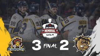 Shawinigan Cataractes 3 Hamilton Bull Dogs 2  Faits SaillantsFull Highlights  230622 [upl. by Ultann]