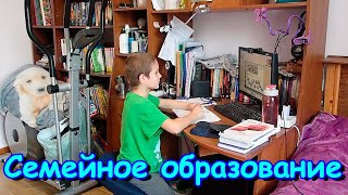 СО Кружки Репетиторы Экзамены Стоимость обучения и др 1123г Семья Бровченко [upl. by Dinnie259]