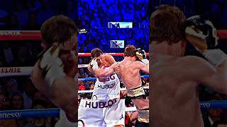 Canelo vs GGG highlights🥊🔥 gennadygolovkin canelo boxing [upl. by Annazus]