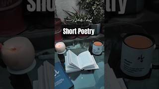 Tere lab par naam hoga pyaar ka shama dekh kar jalega dilpoetry shayari shortpoetry shorts [upl. by Uella]