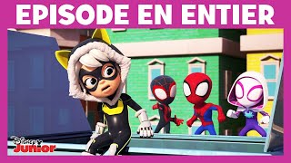 Rencontre Spidey et ses amis extraordinaires  Épisode  Bonjour Félicia [upl. by Adnof955]