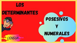 Los DETERMINANTES POSESIVOS Y NUMERALES [upl. by Mcdonald]