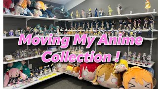 Moving my Anime Collection was harder than I expected [upl. by Lacram]