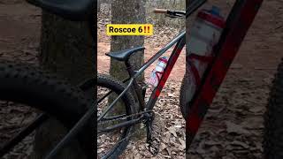 Trek Roscoe 6 Perfect MTB StarterBike👌trek roscoe mtb drops jumps fun bike shorts viral [upl. by Anneiv]