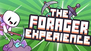 The Forager Experience [upl. by Tnilf]