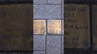 Stolpersteine 269 [upl. by Maltz260]