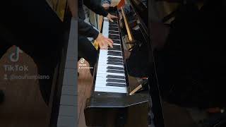 I played Demon Slayer Songs on Piano in Public at SaintLazare [upl. by Ahsakal203]