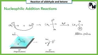 Nucleophilic addition reaction mechanism class 12 [upl. by Lee]