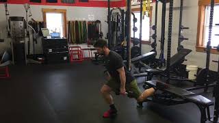 Raised Foot Split Squat w Pulsing Reps  Oscillating Bulgarian Split Squat [upl. by Eohce]