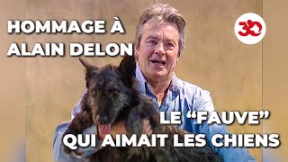 Notre hommage à Alain Delon [upl. by Edwina]