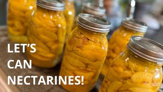 JOIN ME IN THE KITCHEN Canning Nectarines VLOG [upl. by Bartley]