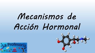 Mecanismos de acción hormonal [upl. by Schilit729]