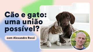 Como socializar gatos com cães Alexandre Rossi explica  Petz TV Comportamento [upl. by Macario]