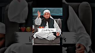 Molana Tariq Jameel Sabb Latest video tariqjameel molanatariqjameel video reels [upl. by Laddy]