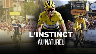 JULIAN ALAPHILIPPE  le HÉROS dune nation DOCUMENTAIRE [upl. by Bonney29]