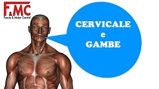 TERAPIA MANUALE MIOFASCIALE CERVICALE e GAMBE [upl. by Elwee]