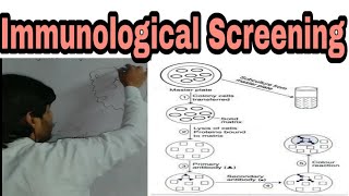 Screening Techniques part E immunological screening rDNA technology lecture 5 [upl. by Chariot43]