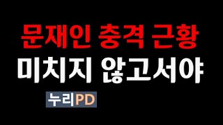 문재인 충격 근황친명 개딸 발칵누리pdtv [upl. by Basil313]