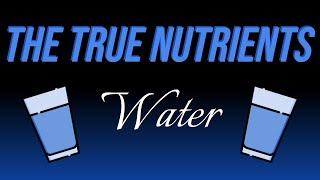 The True Nutrients  Water [upl. by Rellek]