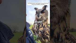 This kind woman rescued an injured owl that was lying helpless and then animalshorts [upl. by Hirasuna]