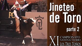 JINETE DE TORO parte 2  XI Campeonato Los Tres Toños 2019 [upl. by Ammeg]